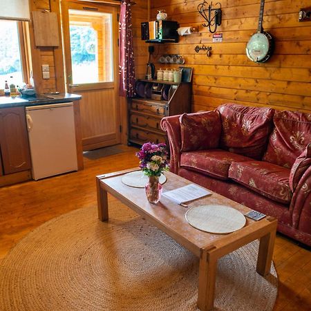 Blossom Cabin - Little Log Cabin In Wales Newtown  Eksteriør bilde