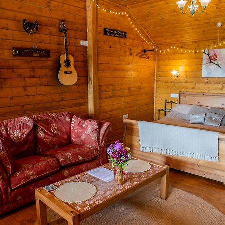 Blossom Cabin - Little Log Cabin In Wales Newtown  Eksteriør bilde