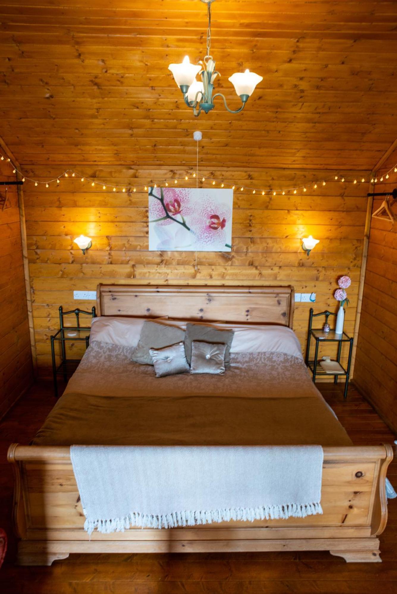 Blossom Cabin - Little Log Cabin In Wales Newtown  Eksteriør bilde
