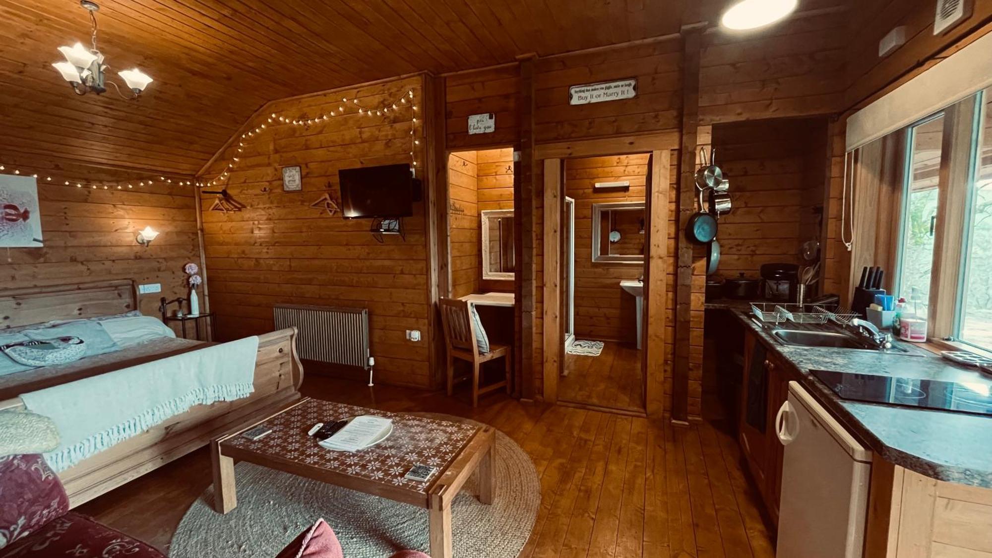 Blossom Cabin - Little Log Cabin In Wales Newtown  Eksteriør bilde