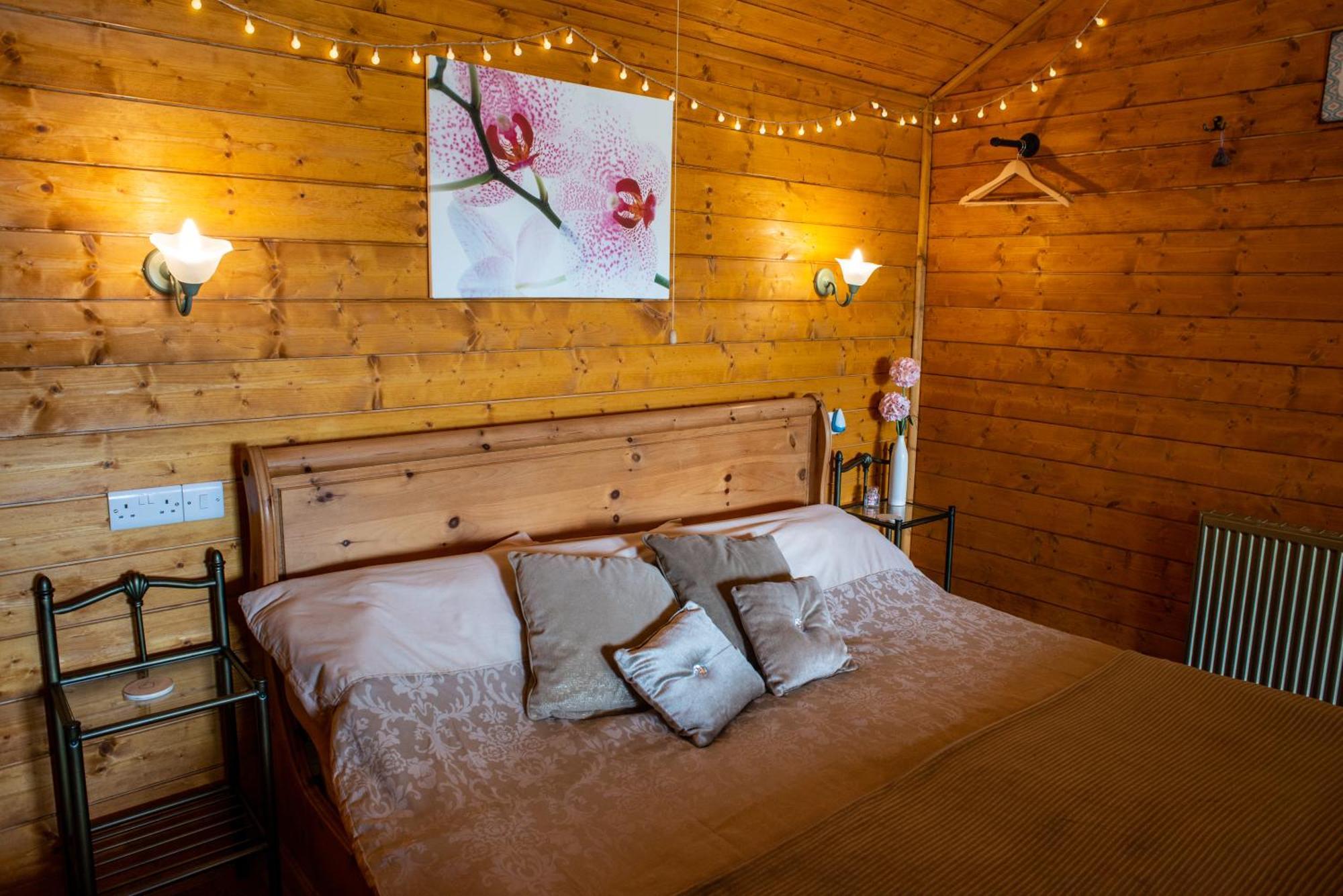 Blossom Cabin - Little Log Cabin In Wales Newtown  Eksteriør bilde